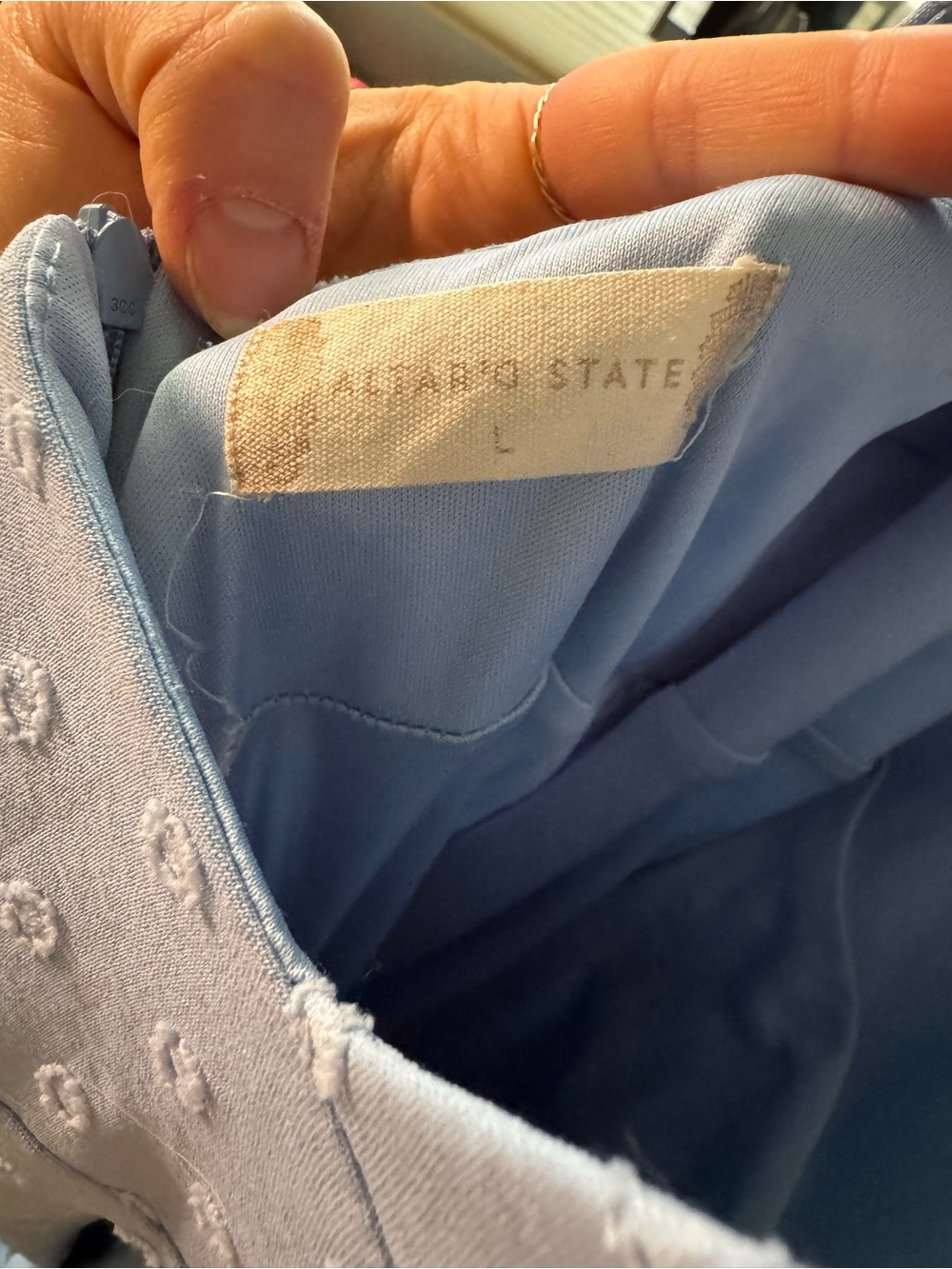 Altar'd State Swiss Dot High-Low Dress - Picture 7 of 8